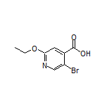 5-溴-2-乙氧基异烟酸