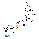 UDP-4n-D-FucNAc