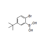 2-溴-5-(叔丁基)苯硼酸
