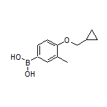 4-(环丙基甲氧基)-3-甲基苯硼酸