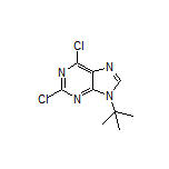 9-(叔丁基)-2,6-二氯-9H-嘌呤