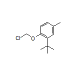 3-(叔丁基)-4-(氯甲氧基)甲苯