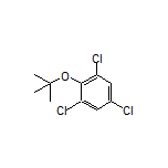 2-(叔丁氧基)-1,3,5-三氯苯