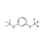 1-(叔丁氧基)-3-(三氟甲氧基)苯