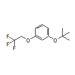 1-(叔丁氧基)-3-(2,2,2-三氟乙氧基)苯
