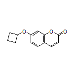 7-环丁氧基-2H-色烯-2-酮