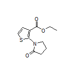 2-(2-氧代-1-吡咯烷基)噻吩-3-甲酸乙酯