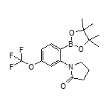 2-(2-氧代-1-吡咯烷基)-4-(三氟甲氧基)苯硼酸频哪醇酯