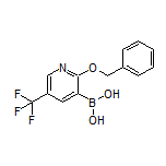 2-(苄氧基)-5-(三氟甲基)吡啶-3-硼酸