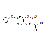 7-环丁氧基-2-氧代-2H-色烯-3-甲酸