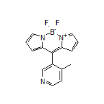 5,5-二氟-10-(4-甲基-3-吡啶基)-5H-二吡咯并[1,2-c:2’,1’-f][1,3,2]二氮杂环己硼烷-4-鎓-5-盐