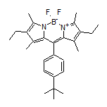 10-[4-(叔丁基)苯基]-2,8-二乙基-5,5-二氟-1,3,7,9-四甲基-5H-二吡咯并[1,2-c:2’,1’-f][1,3,2]二氮杂环己硼烷-4-鎓-5-盐