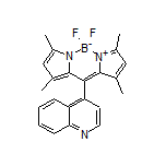 5,5-二氟-1,3,7,9-四甲基-10-(4-喹啉基)-5H-二吡咯并[1,2-c:2’,1’-f][1,3,2]二氮杂环己硼烷-4-鎓-5-盐