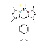 10-[4-(叔丁基)苯基]-5,5-二氟-1,3,7,9-四甲基-5H-二吡咯并[1,2-c:2’,1’-f][1,3,2]二氮杂环己硼烷-4-鎓-5-盐