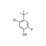 4-(叔丁基)-5-氯-2-氟苯酚
