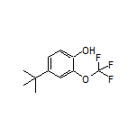 4-(叔丁基)-2-(三氟甲氧基)苯酚