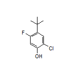 4-(叔丁基)-2-氯-5-氟苯酚