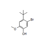 5-溴-4-(叔丁基)-2-甲氧基苯酚
