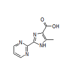 5-甲基-2-(2-嘧啶基)-1H-咪唑-4-甲酸