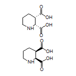 顺式-哌啶-2,3-二甲酸