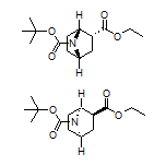 内向-7-Boc-7-氮杂双环[2.2.1]庚烷-2-甲酸乙酯