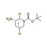 (1S,4S,6S)-2-Boc-2-氮杂双环[2.2.1]庚烷-6-胺