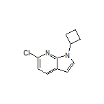 6-氯-1-环丁基-7-氮杂吲哚