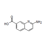 2-氨基喹啉-7-甲酸