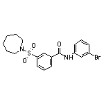 3-(氮杂环庚烷-1-基磺酰基)-N-(3-溴苯基)苯甲酰胺